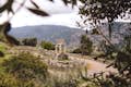 O templo de Atena Pronaia