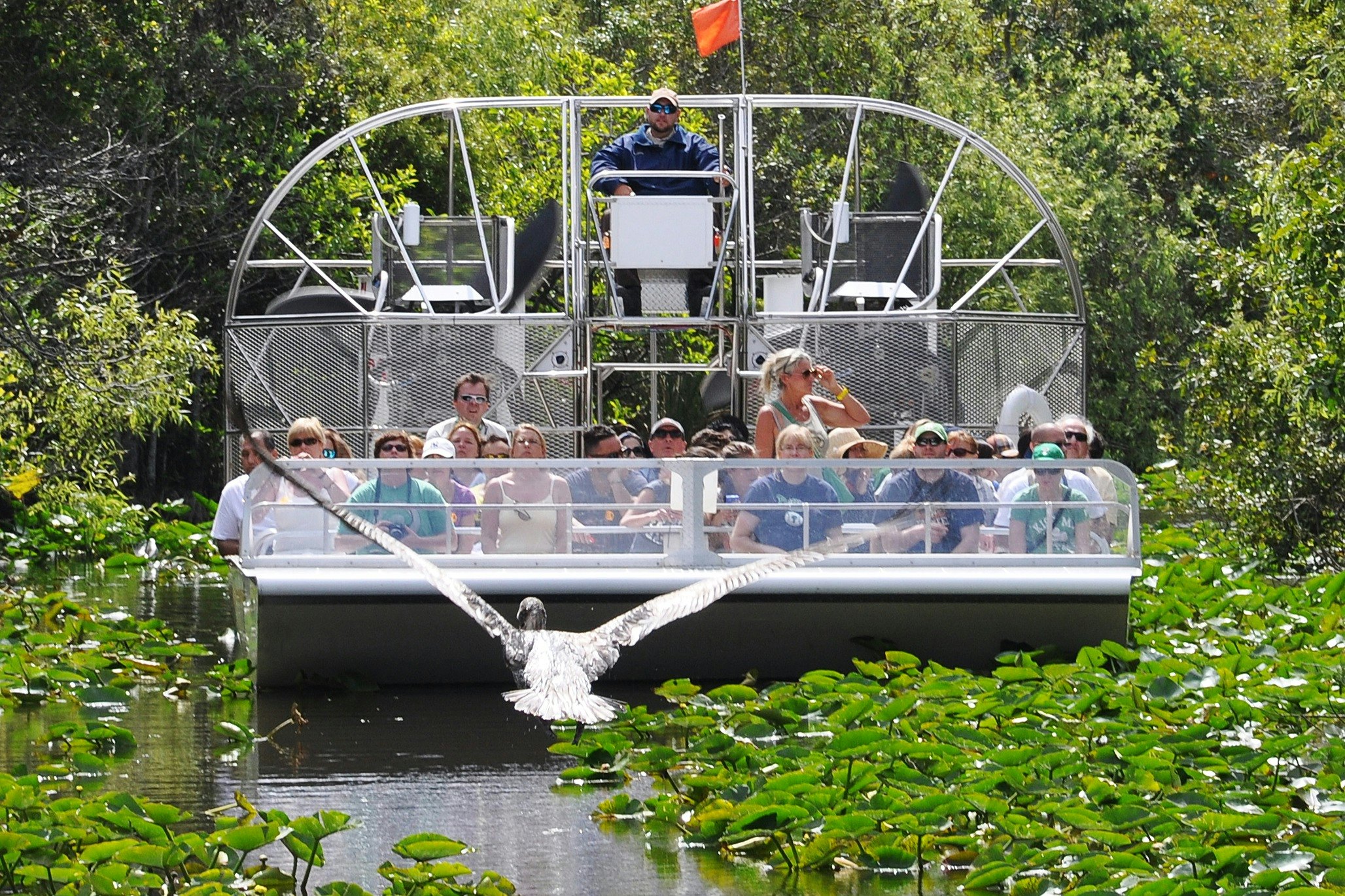 Everglades Safari Park: Eco Adventure Airboat Tour