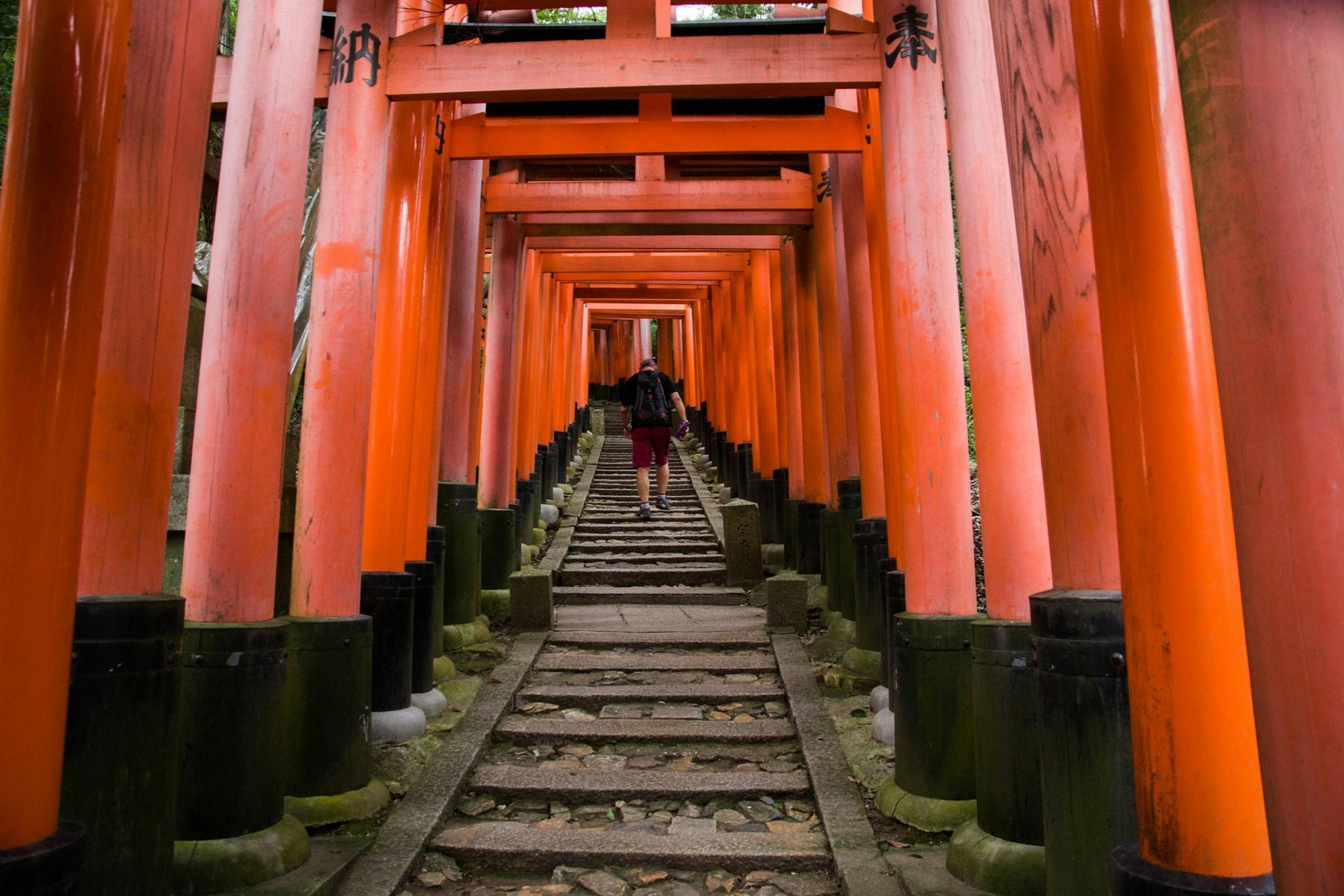 Kyoto: Guided Tour + Roundtrip Bus Transfer - Photo 6