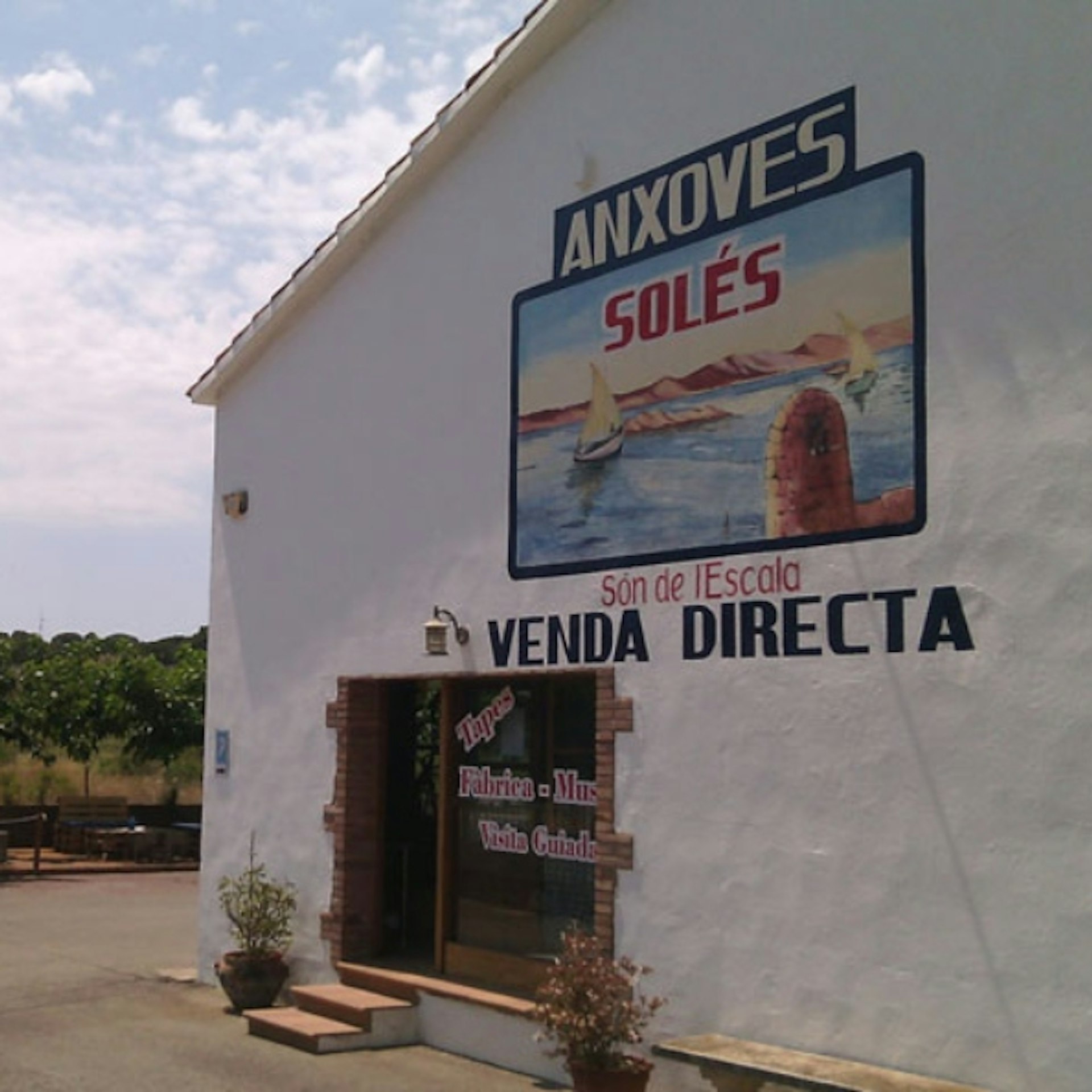 Solés Anchovy Factory-Museum: Entry Ticket