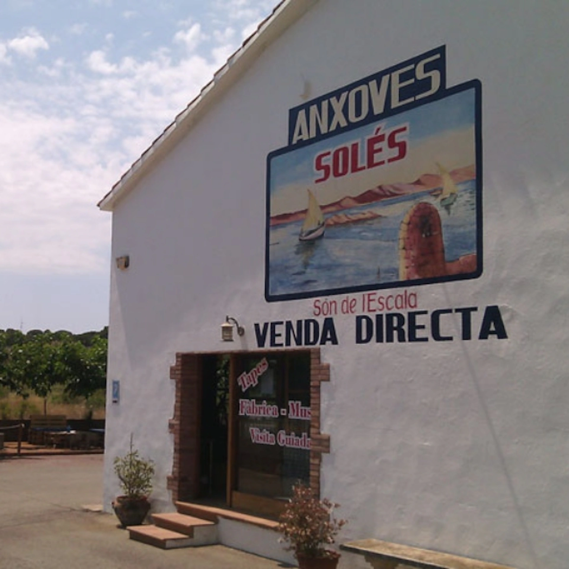 Fàbrica-Museu d'Anxoves Solés: Tiquet d'entrada