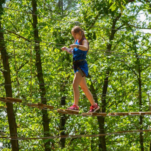 AccroCamp: Meudon Forest