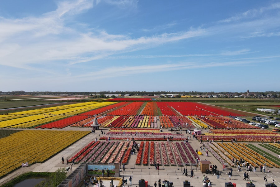 アムステルダム ザ・チューリップ・バーン チケット