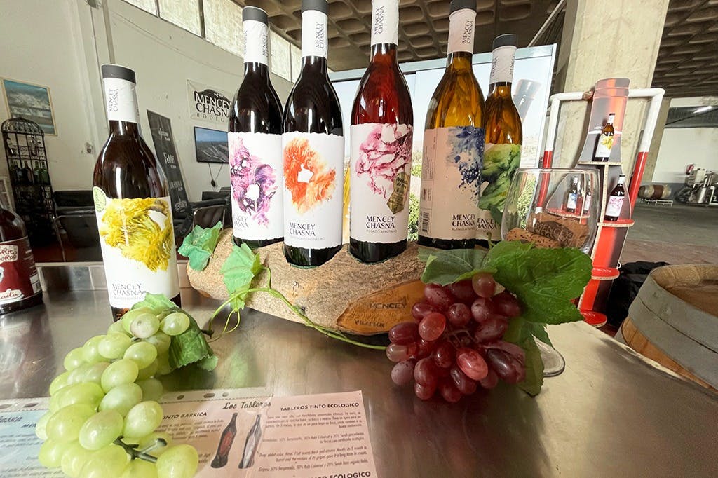 カナリアワインのセレクション