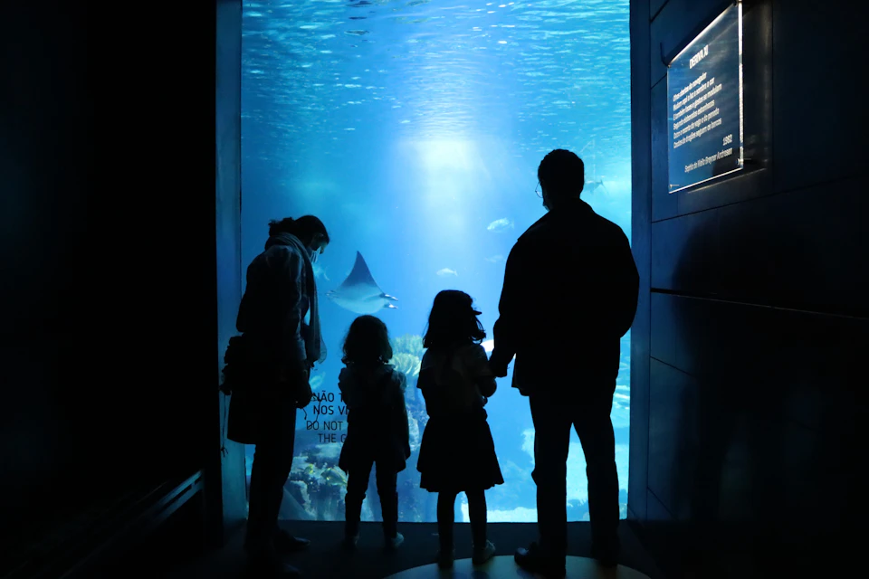Private Guided Tour of Oceanário de Lisboa