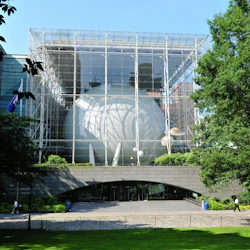 American Museum of Natural History (AMNH)