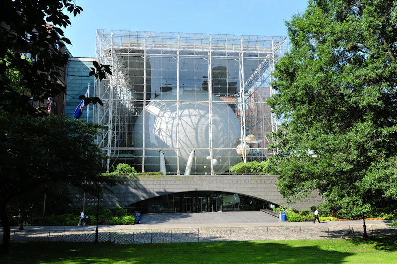 American Museum of Natural History — museum in New York