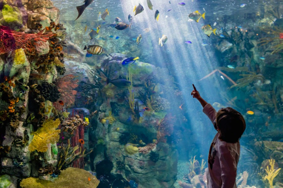 Biljetter till Birch Aquarium i San Diego