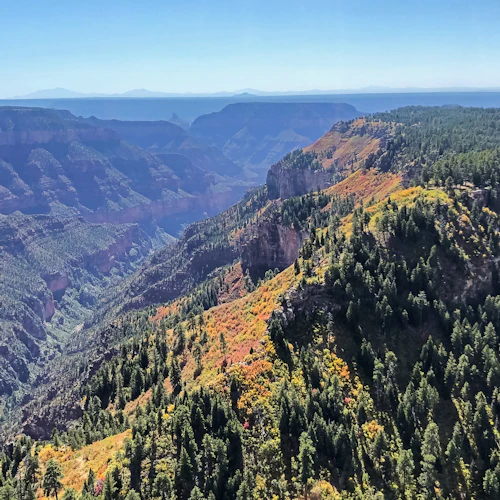 Grand Canyon: 45-Min. Aerial Tour by Airplane - Photo 2