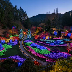 Victoria: Christmas Day Tour with Butchart Gardens from Vancouver