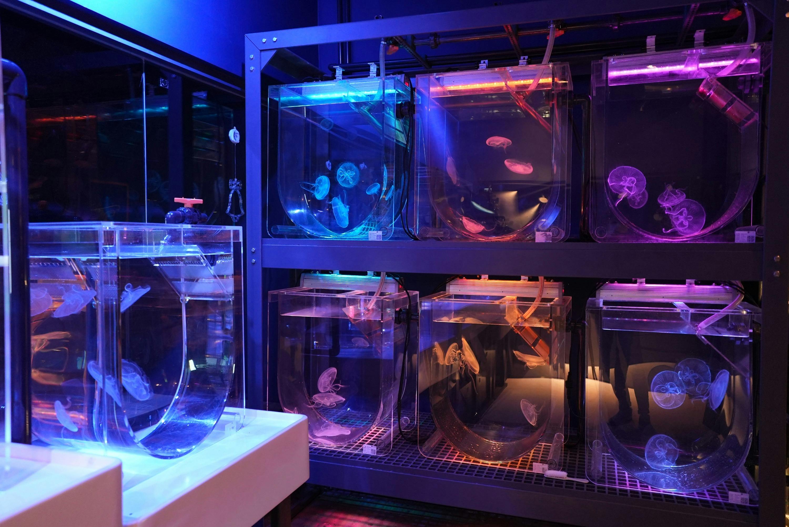 Cube O Discovery Park Hong Kong: Marine Exploration Tour + Science Education Day Pass in Hong Kong – Tiqets