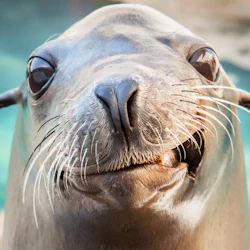 Aquarium of the Pacific: Skip The Line Ticket 5