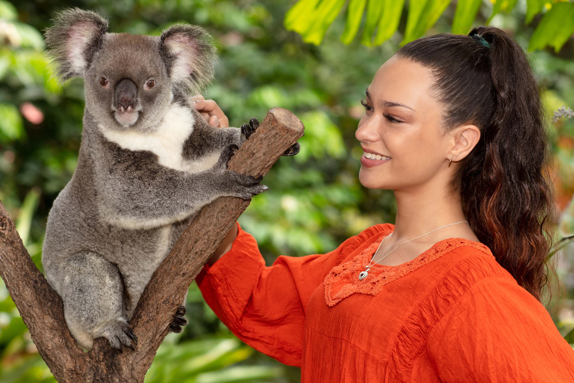 A person in an orange blouse smiles while interacting with a koala on a tree branch in a lush, green environment.