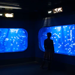 Sea Pass: Aquarium of Genoa & Galata Museum Entry Ticket + Harbor Boat Tour 4