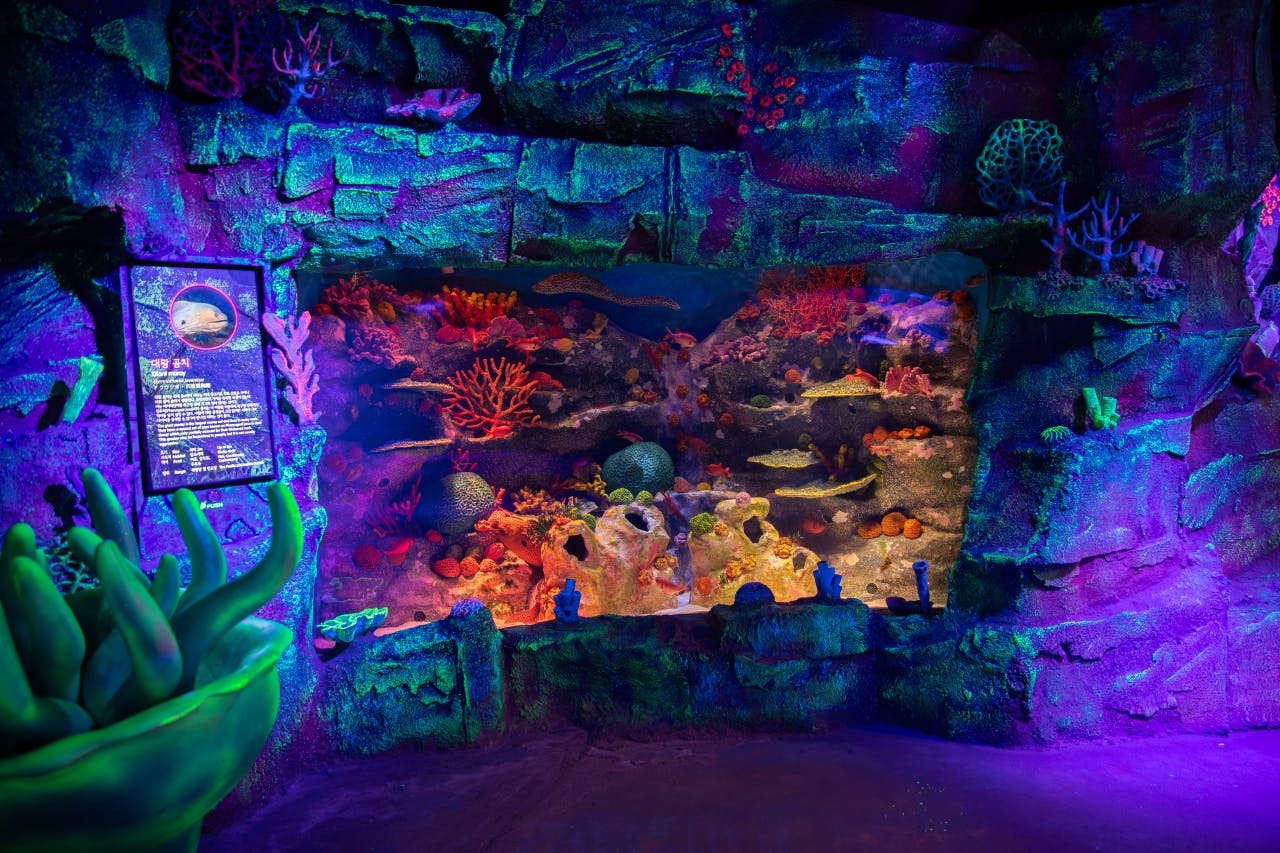 SEA LIFE Busan Aquarium & Brickman Exhibition Ticket