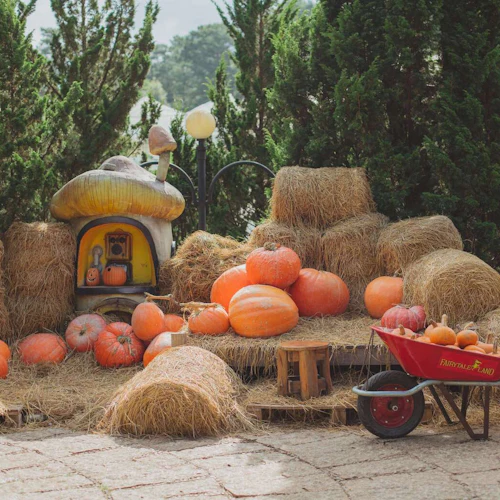Fairytale Land & Vinh Tien Wine Cellar: Entry Ticket