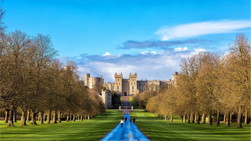 A castle with towers is in the background under a blue sky. A long path lined with trees leads to it, with a few people walking.