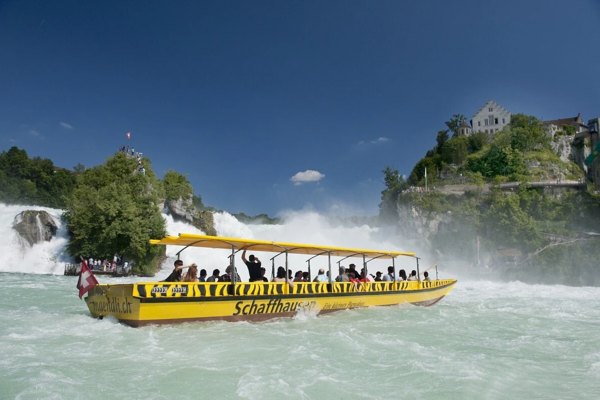 Rhine Falls & Schloss Laufen: Guided Tour + Transfers