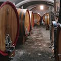 produção de vinho
