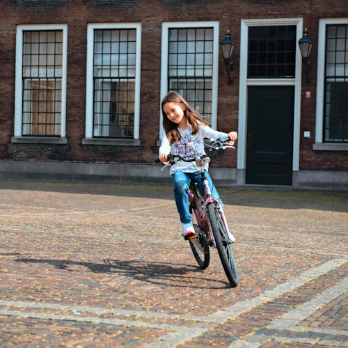 Tour de bicicleta em Haia - Photo 5