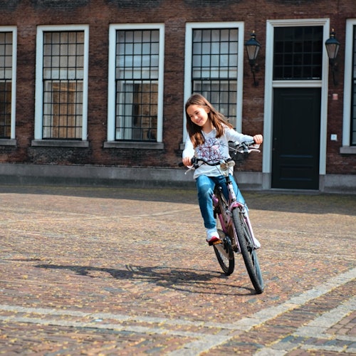 Tour en bici por La Haya