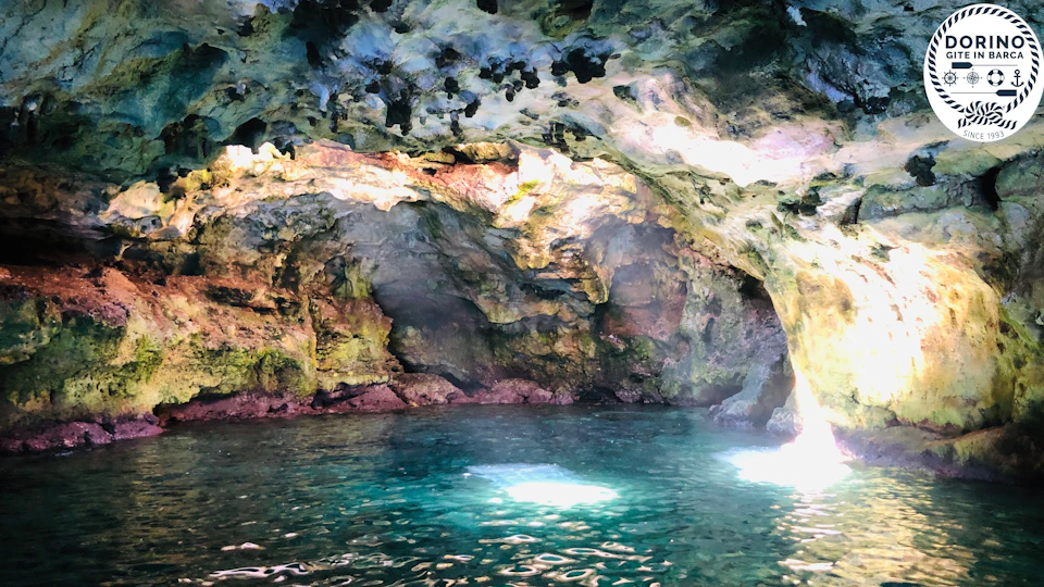 Sunlit cave interior with turquoise water, rocky walls covered in moss and algae, and a natural opening letting in light.