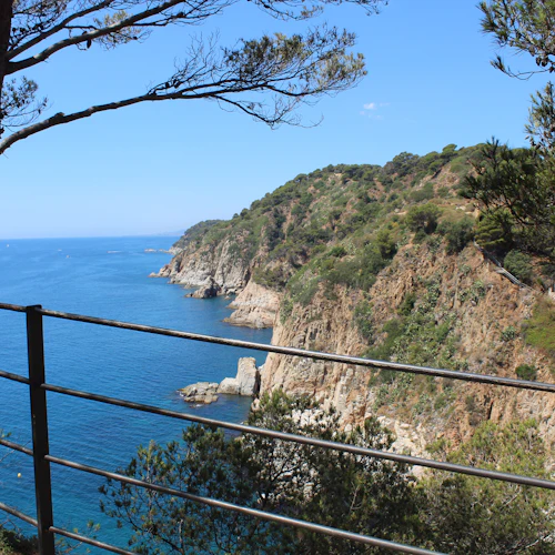 Costa Brava: Excursion including a boat Tour from Lloret de Mar to Tossa de Mar - Photo 7
