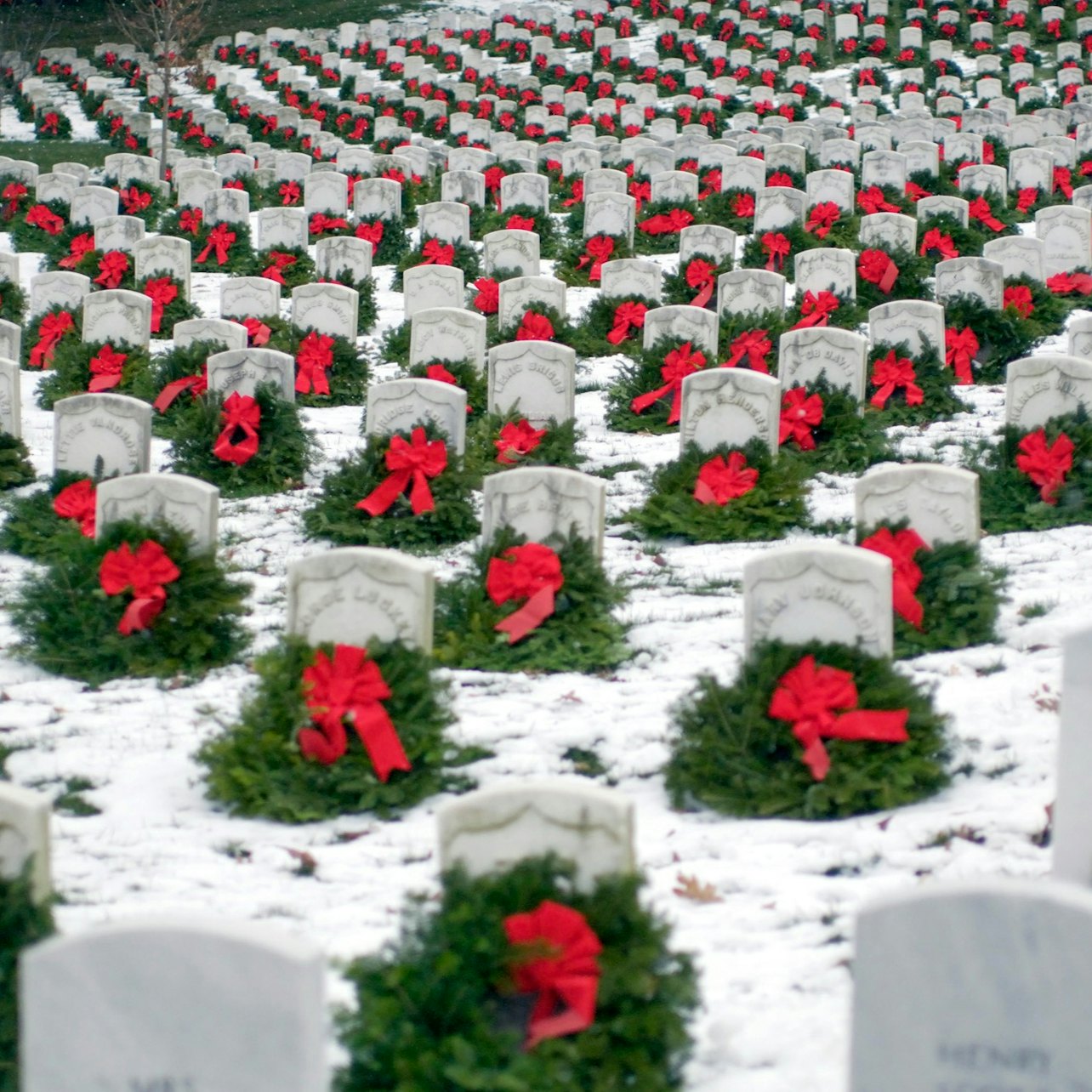 Visita guiada a pie al Cementerio Nacional de Arlington: Semiprivado - Alojamientos en Washington D.C.