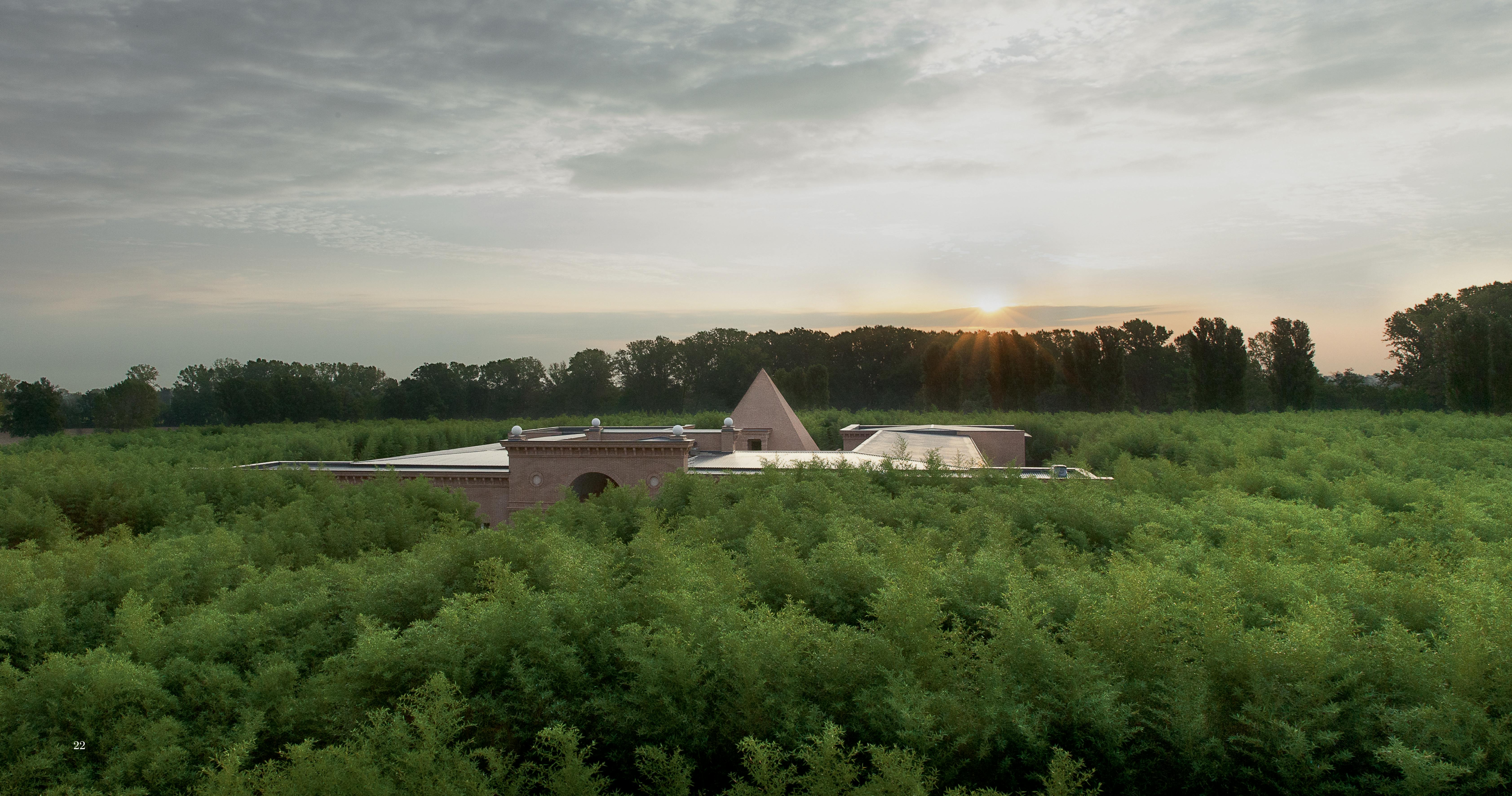 一栋金字塔形建筑在日出时被茂密的绿植环绕，背景是树木线条和天空。