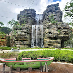 Singapore Bird Paradise 3