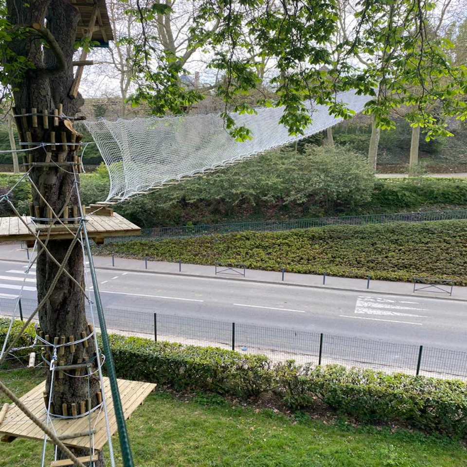 Wooden platforms and a net course are built around tall trees above a road and bushes in a park area.