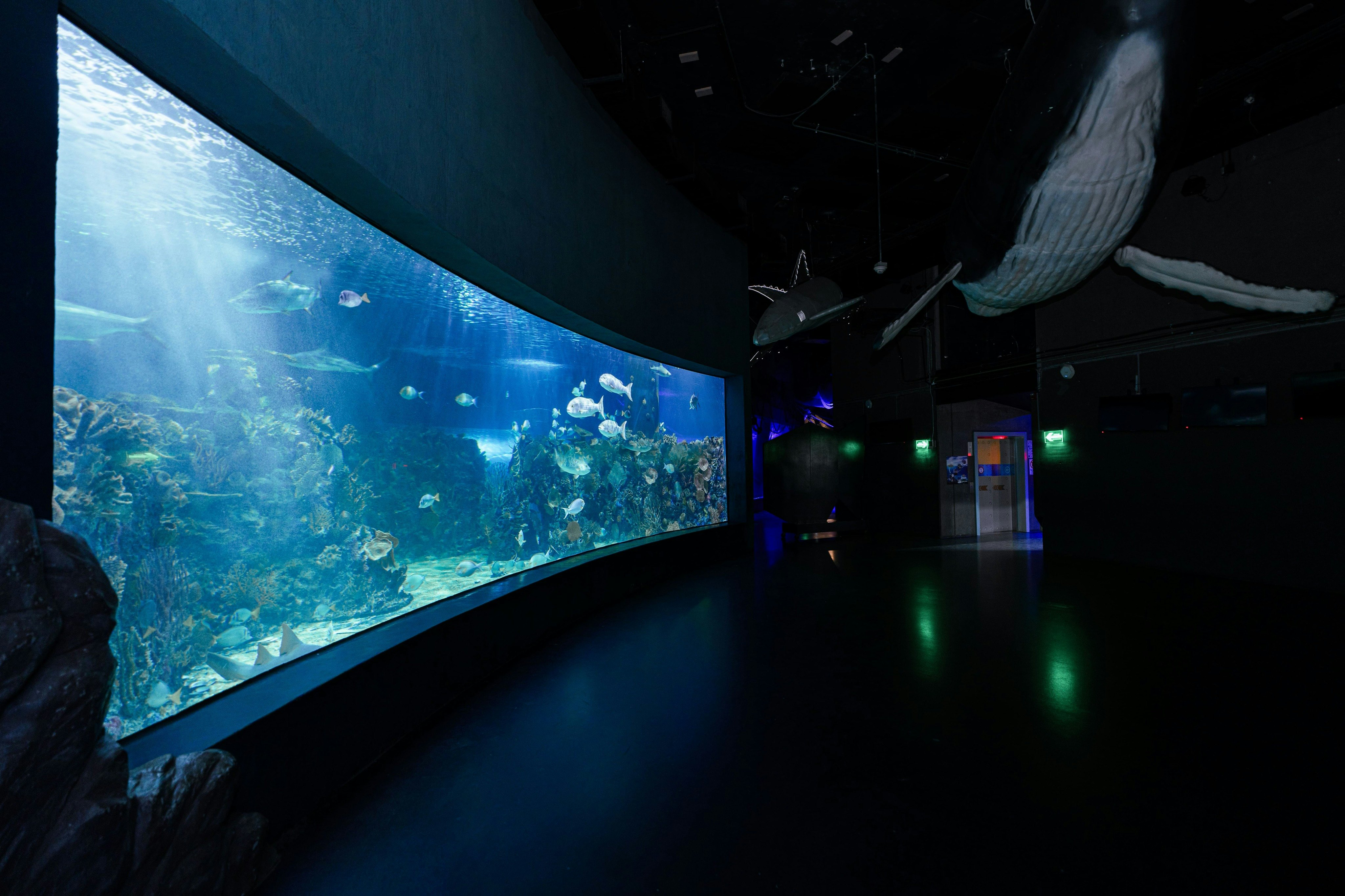 Inbursa Aquarium tickets | Mexico City