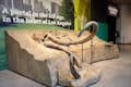 A mammoth stuck in time at La Brea Tar Pits