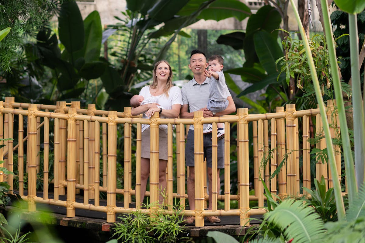 Bloedel Conservatory