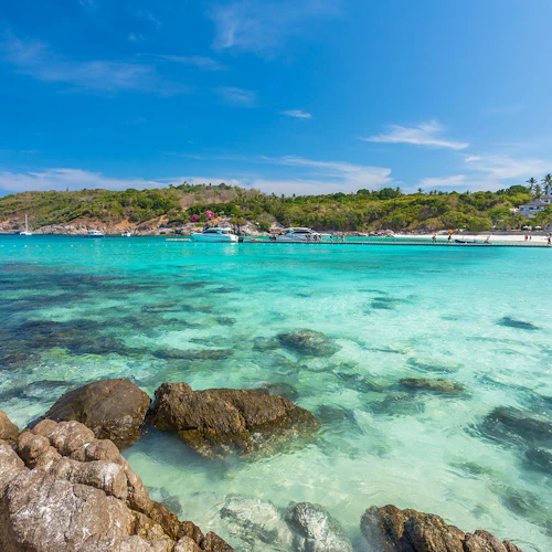 Coral & Racha Islands: Guided Speedboat Tour from Phuket + Lunch - Photo 12