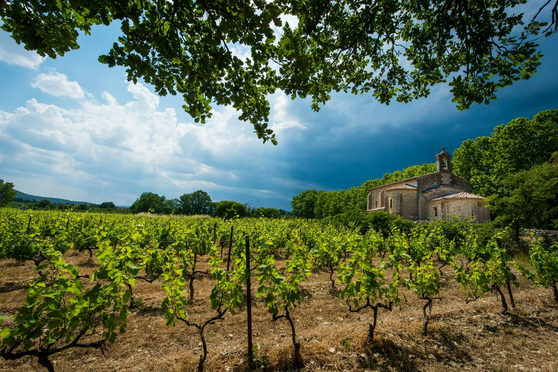 Gaillac: Visita guiada de meio dia a partir de Toulouse + Prova de vinhos - Photo 6