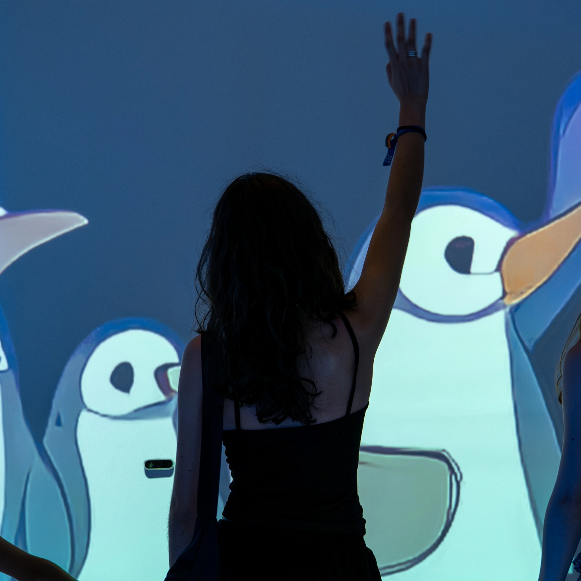 Antarctica Experience: Tiquet d'entrada