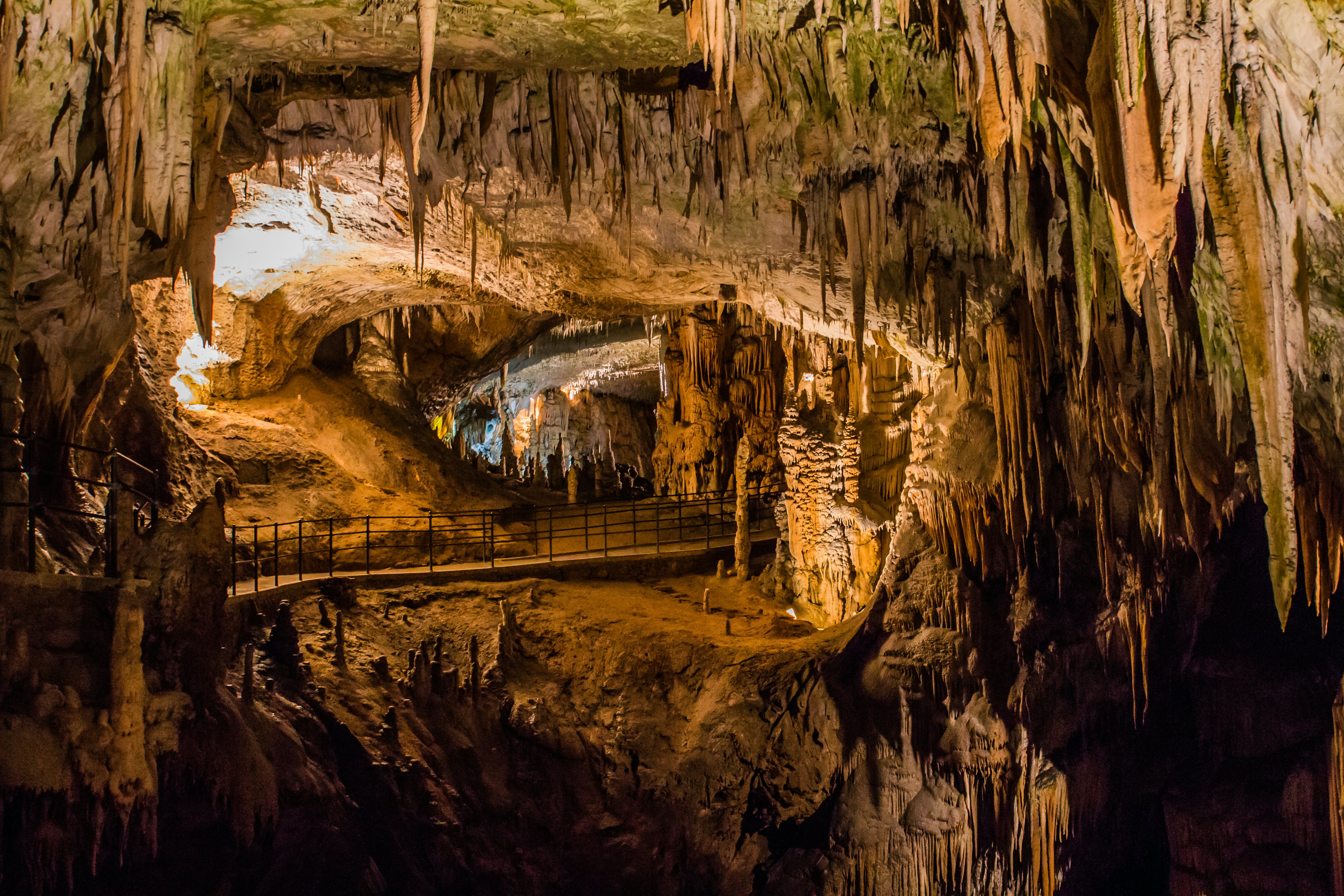 Cave v. Пещера Постойна яма. Постойна Словения. Постойнские пещеры Словения. Пещера Постойна яма Словения.