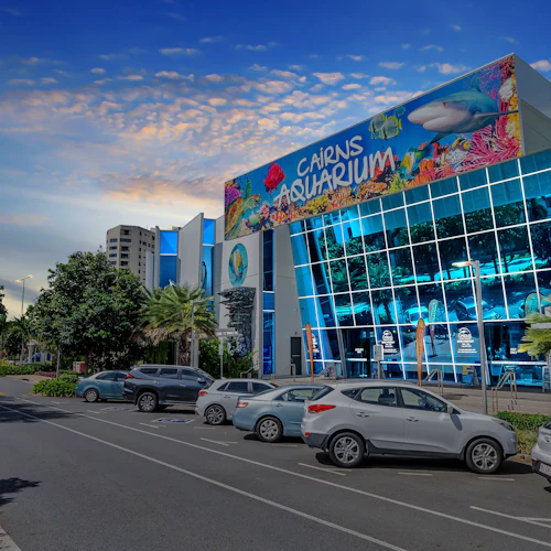 Cairns Aquarium by Twilight - Photo 2