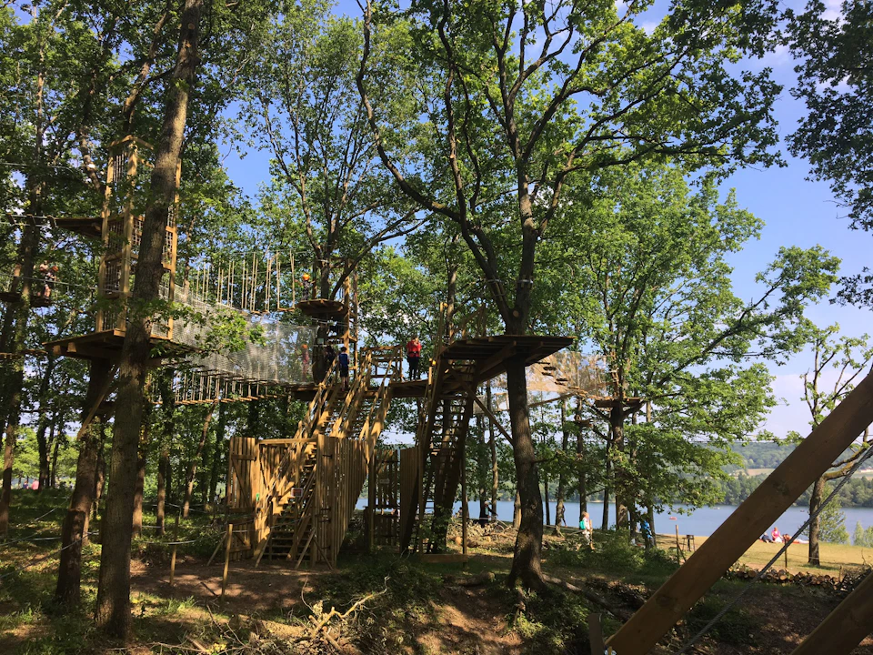 People climbing wooden structures and walkways in a forested area near a lake under a clear sky.