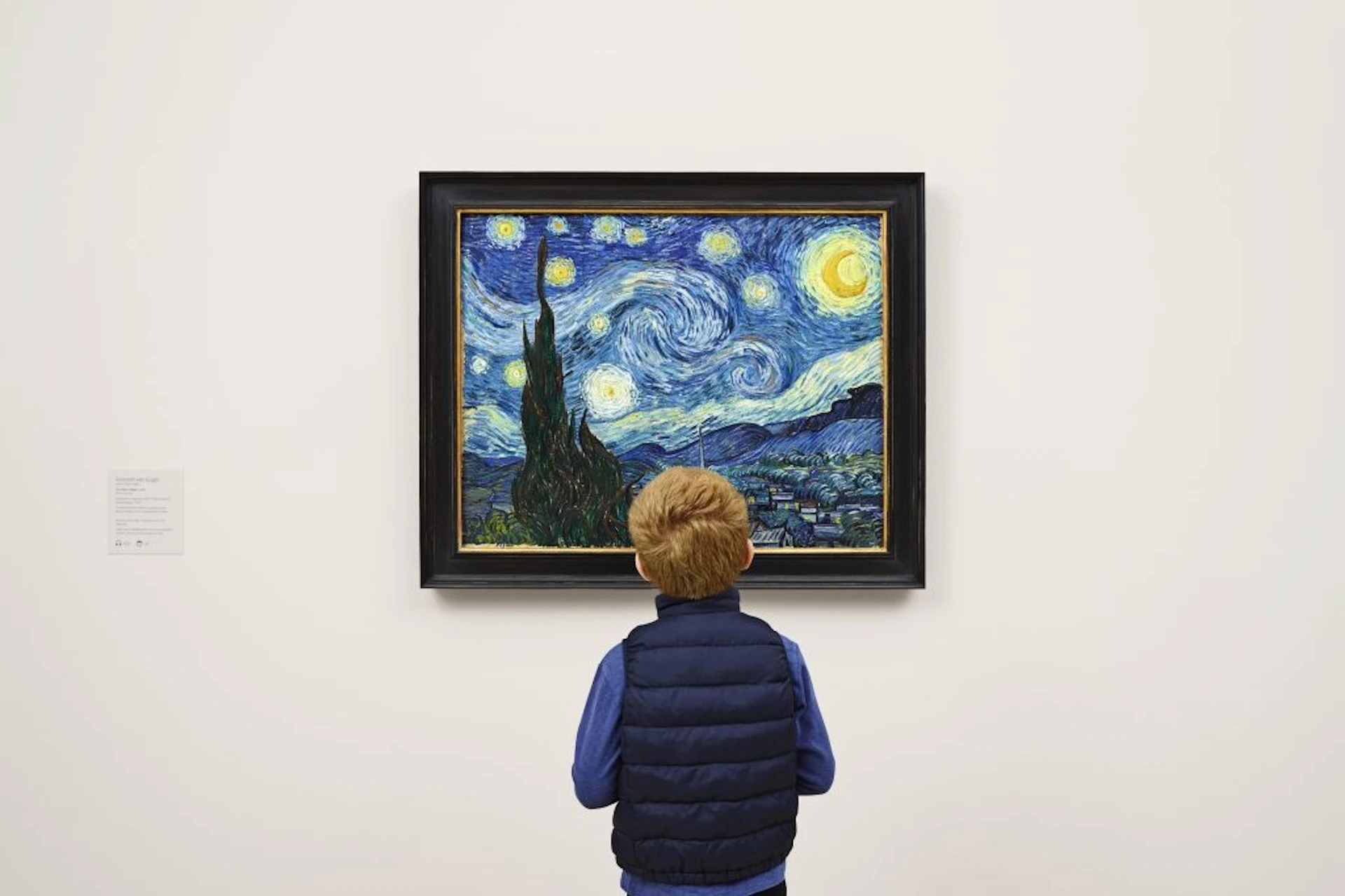 The Starry Night (Vincent van Gogh)