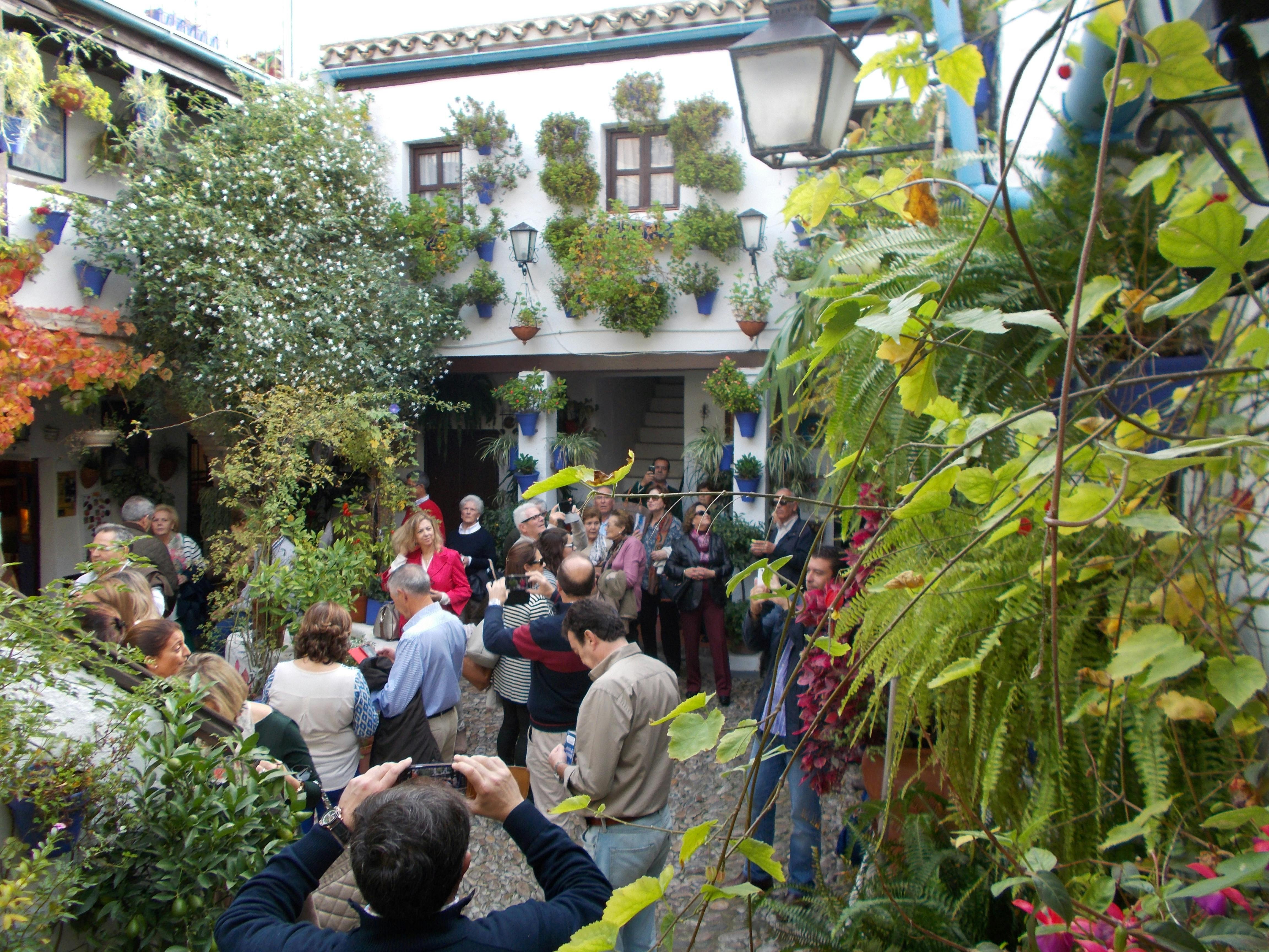A group of people in a courtyard adorned with many potted plants and flowers on walls, with lanterns and a tiled-roof building.