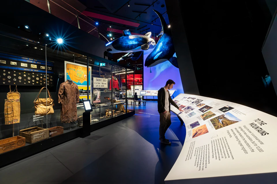 A museum exhibit with a person reading an informational display, whale models hanging, and various items in glass cases.