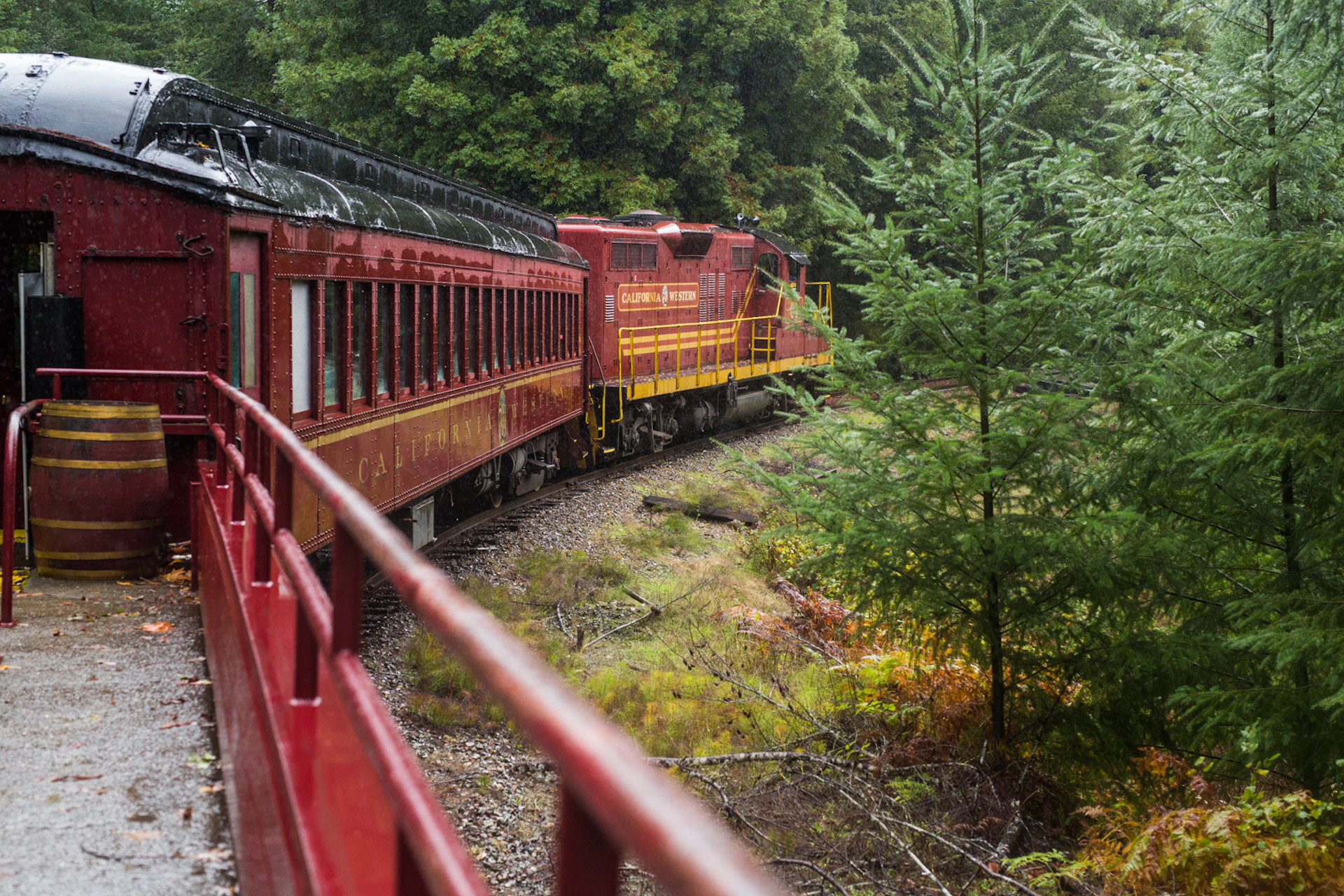 A red train labeled "California Western" travels through a lush forest on a curved track, with trees and greenery surrounding it.