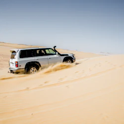 4x4 Desert Safari with Sandboarding & Camel Ride from Cairo or Giza