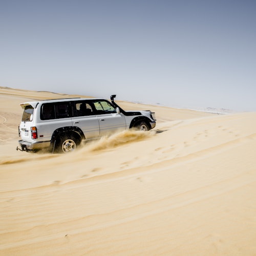 Safari por el desierto con sandboarding y paseo a camello desde El Cairo o Guiza