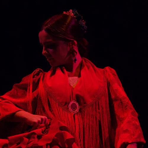 Flamenco Laietana Barcelona: Espetáculo de Flamenco - Photo 7