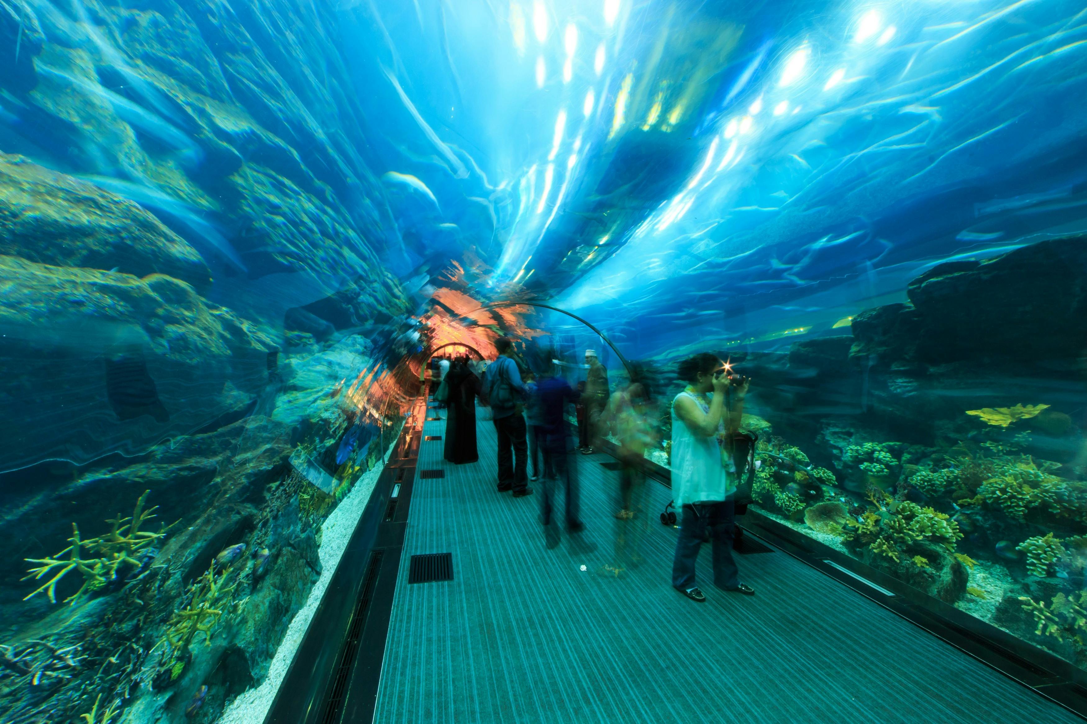 Dubai Aquarium & Underwater Zoo