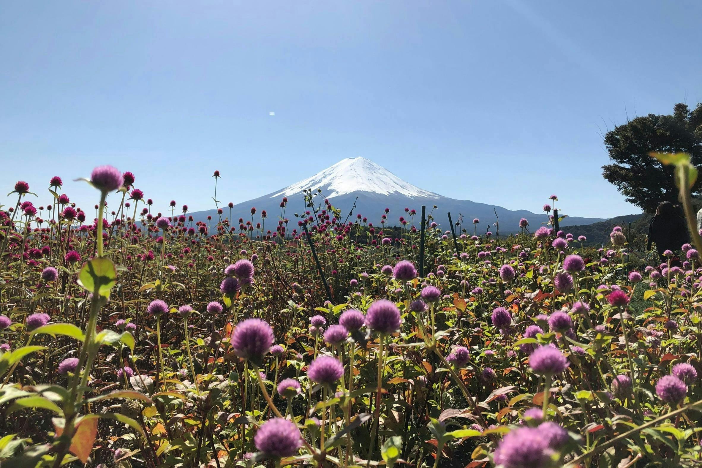 Monte Fuji: Tour guidato di una giornata intera da Tokyo — 4