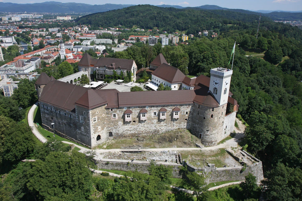 Aerial view of a large medieval castle with brown roofs and a clock tower, surrounded by greenery and a town in the background.